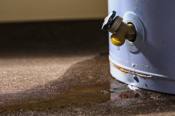 Best Flooded house restoration  in Rittman, OH