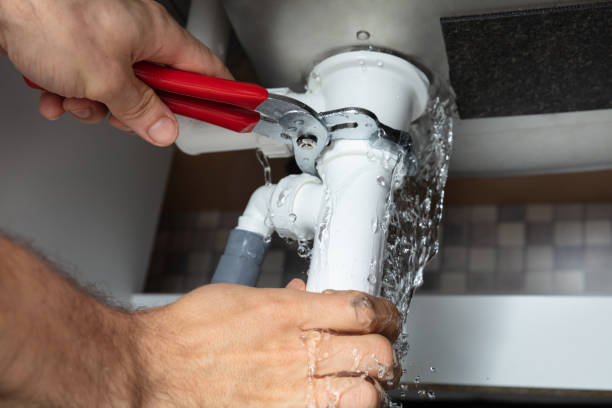 Best Water damage cleanup near me  in Rittman, OH