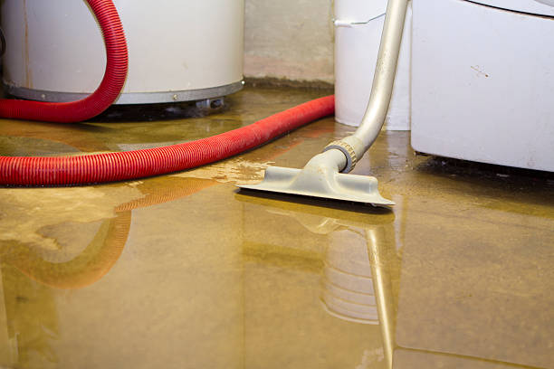 Best Residential water damage restoration  in Rittman, OH