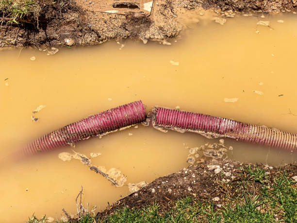  Rittman, OH Water damage restoration Pros