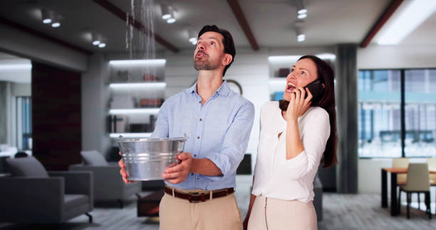 Best Sewage cleanup and water damage restoration  in Rittman, OH