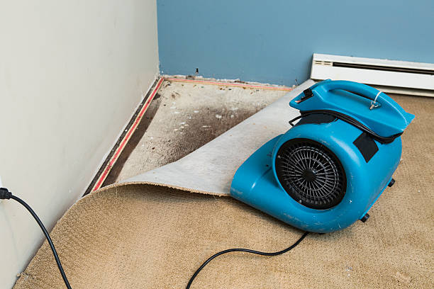 Best Residential water damage restoration  in Rittman, OH